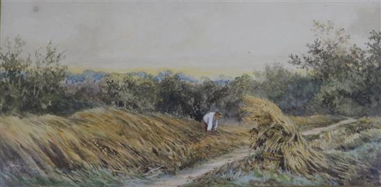 19th century English School, watercolour, harvester in a landscape, 15 x 29cm